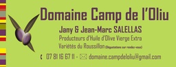 Camp de l'Oliu